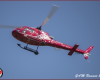 TSR Watermark - 0395